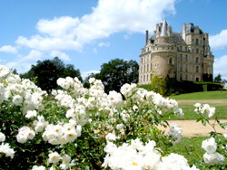 Ch&acirc;teau de Brissac Loire Valley - Angers