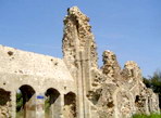 Abbaye de Savigny-le-Vieux